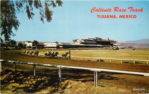 1960s Horse Racing Caliente Track POSTCARD 100999 TIJUANA MEXICO