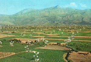 Vintage Postcard Irrigation Par Moulins A Vent Plateau De Lassithi Crete Greece