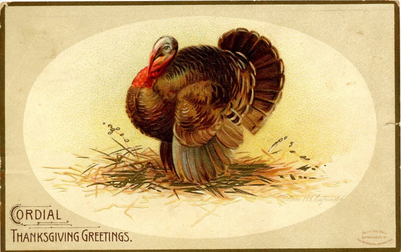 Greeting - Thanksgiving. Artist: Clapsaddle  (tear in card)