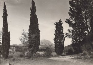 France Postcard - Aix-En-Provence - Montagne Sainte-Victoire  RR9072