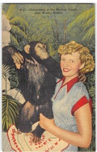 Chimpanzee & Woman MONKEY JUNGLE Miami, Florida 1940s Vintage Postcard