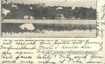 Lake Giles, Blooming Grove Park Blooming Grove PA 1907