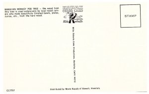 Hawaiian Monkey Pod Tree  Postcard