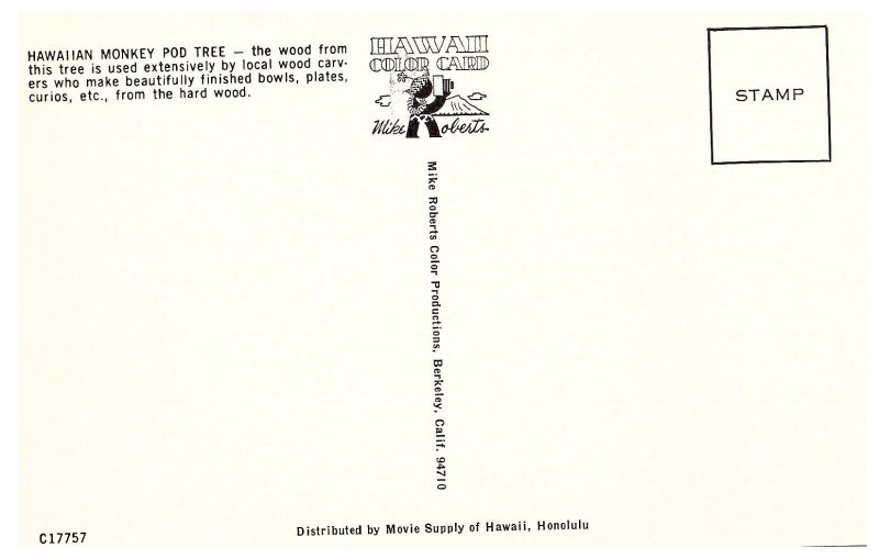 Hawaiian Monkey Pod Tree  Postcard