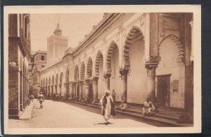 Algeria Postcard - Alger - La Grande Mosquee   T9893