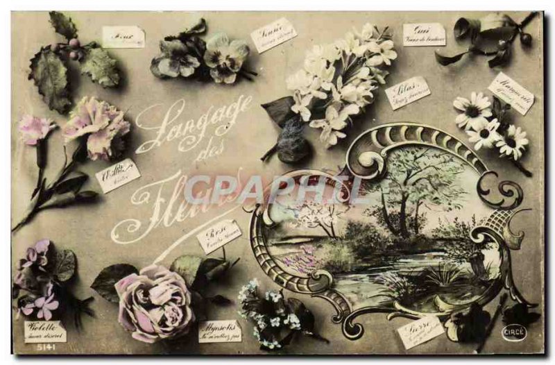 Old Postcard Fantasy Flowers of Language