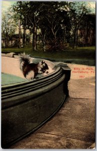 Billy In Park Harrisburg Pennsylvania PA Pool & Forest Trees Landmark Postcard