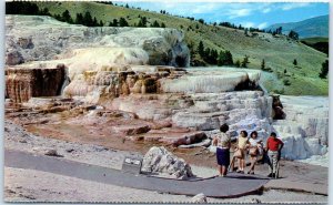 Postcard - Minerva Terrace at Mammoth Hot Springs, Wyoming, USA