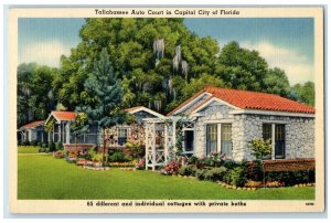 1941 Tallahassee Auto Court In Capital City Jackson Florida FL Vintage Postcard