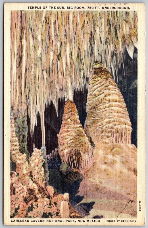 Vtg New Mexico NM Temple of the Sun Carlsbad Caverns National Park Postcard