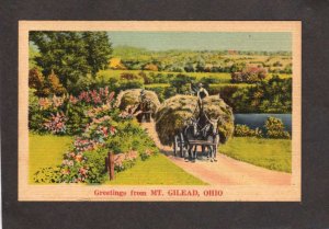 OH Greetings From Mt Mount Gilead Ohio Linen Postcard Haying Horses Farming