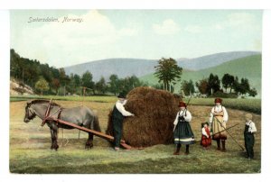 Norway - Saetersdalen. Farming in the Valley