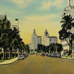 Vintage Hotels along Collins Ave., Miami Beach, Fla. Postcards P47