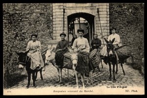 France La Cote D'argent Costumes, Baskets ,PC, Postcard Donkeys, Vintage Unused