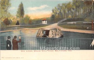 Sea Lions, Druid Hill Park - Baltimore, Maryland MD  