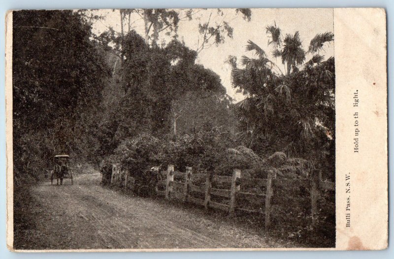 Bulli Pass New South Wales Australia Postcard Hold Up to the Light c1910