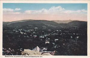 Beautiful Ellenville NY, New York from Shawangunk Mt. - WB