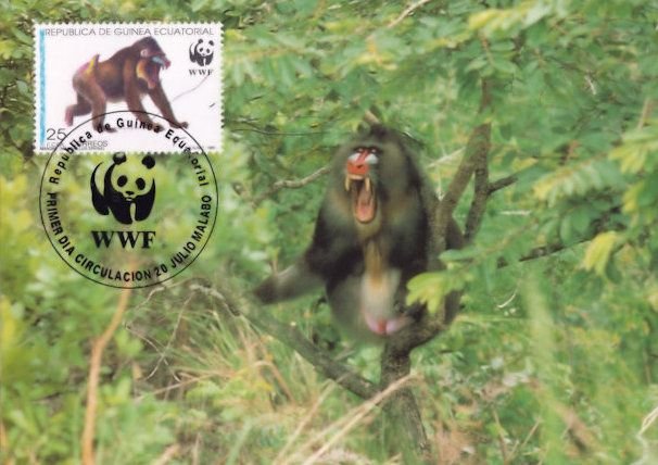 Mandrill Baboon Ape Republica De Guinea Stamp First Day Cover Postcard