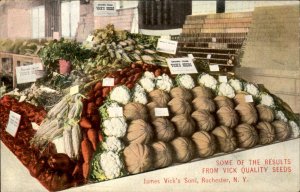 Rochester NY New York Harvest Grown From Vicks Seeds c1900-20s Vintage Postcard