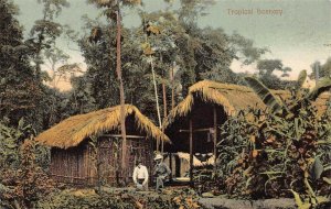 Native Houses and Tropical Scenery, Panama, Early Postcard, Unused