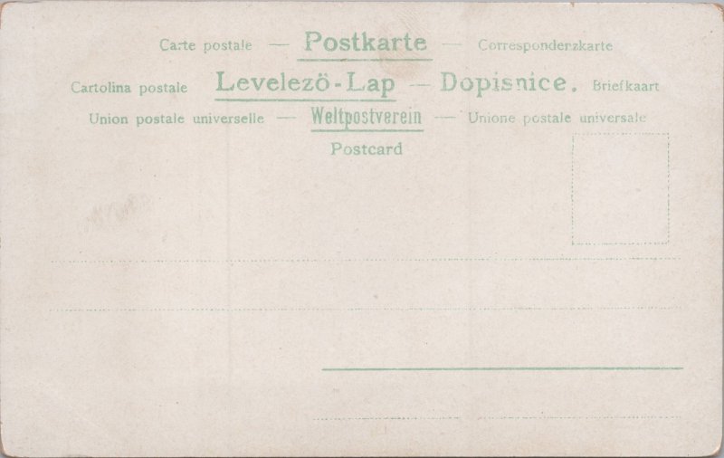 Germany Erfurt Vintage Postcard C384