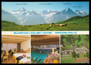 Sunstar + Adler-Hotel Grindelwald