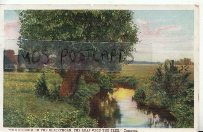 Genealogy Postcard - Dunmore - 7 Lenton Avenue, The Park, Nottingham - Ref. R77