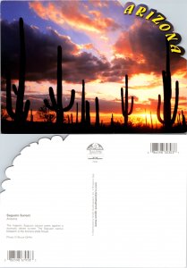 Saguaro Sunset, Az. (14507