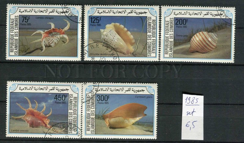 265129 Comoros 1985 year used stamps set SEA SHELLS