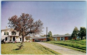 WOLFVILLE, NOVA SCOTIA  Canada   Grand Pre's EVANGELINE MOTEL ca 1950s  Postcard