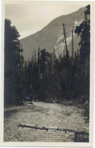 RPPC of the Skokomish River, Washington, WA, Olympic Mountains, NOKO RP