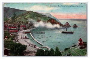 Birds Eye View Avalon Bay Santa Catalina Island CA UNP DB Postcard W16