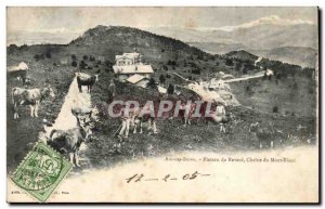 Old Postcard Aix les Bains Revard Plateau Chain of Mont Blanc (cow cow cow)