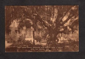 FL Museum Tampa University Indian Desoto Treaty Tree Florida Postcard