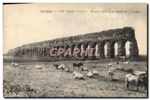 Old Postcard Roma Via Appia Nuova Avanzi di Acquedotto della Claudo Oxen