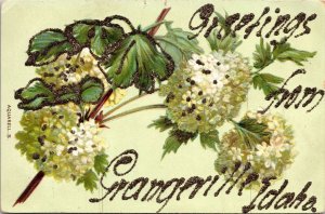 VINTAGE POSTCARD GREETINGS FROM GRANGEVILLE IDAHO HAND PAINTED GLITTER c. 1910