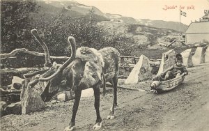 Postcard, Norway, Reindeer pulls Child in Sledge Down Street, Unposted Excellent