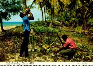 Bahamas Bahamian Native Drinking Cool Refreshing Coconut Milk