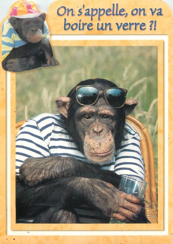 Animals comic chimpanzee Let's call each other, shall we have a drink? France