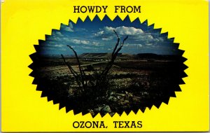 Vtg 1960s Howdy from Ozona Texas TX Chrome Postcard