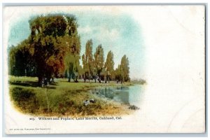 c1905 Willows Poplars Trees Field River Lake Merritt Oakland California Postcard