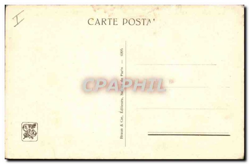 Old Postcard Tiger Tigers