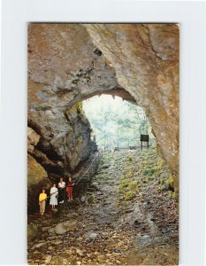 Postcard Entrance to Mammoth Cave National Park Kentucky USA
