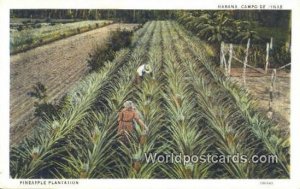 Campo de Pinas, Pineapple Field Habana Cuba, Republica de Cuba Unused 