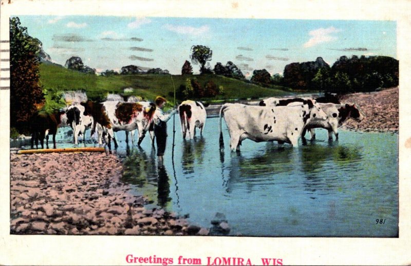 Cows Greetings From Lomira Wisconsin 1938