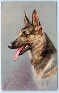 RIVST  Artist Signed ALSATIAN WOLFHOUND Dog Vintage Postcard Switzerland