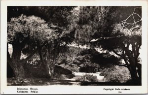 Greece Xylokastro Pefkias Vintage RPPC C162