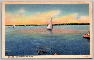 Buckeye Lake Ohio 1936 Postcard Sailing Sailboats