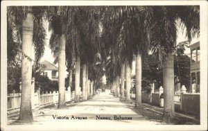 Nassau Bahamas Victoria Avenue Palm Lined Real Photo Vintage Postcard