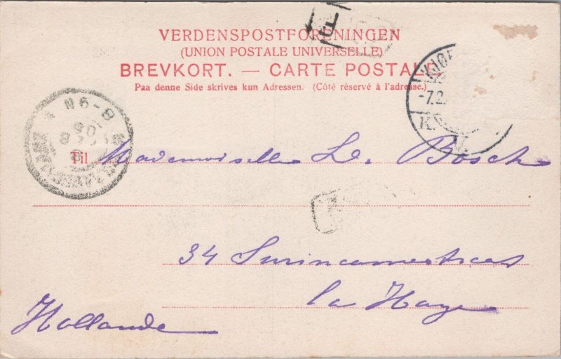 Denmark Basnaes Basnæs Næstved Vintage Postcard C021